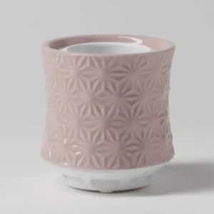 Scentsy Air โ Burst