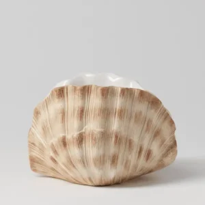 Seashell Warmer