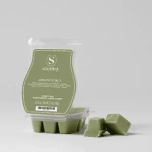 Amazon Rain Scentsy Bar