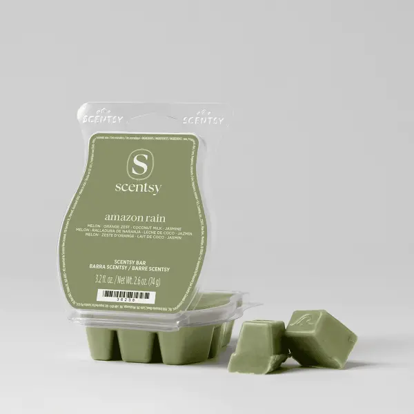 Amazon Rain Scentsy Bar