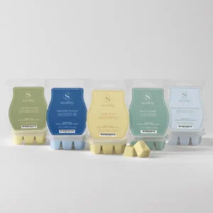 New Cozy Cabin Scentsy Bar 5-Pack