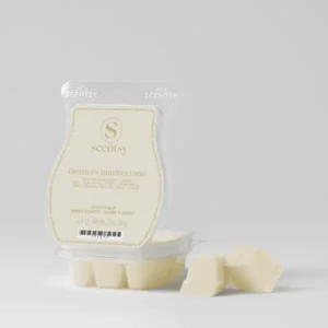 Farmers Market Lane Scentsy Bar