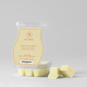 Italian Sunshine Scentsy Bar