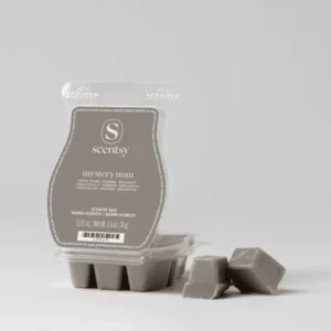 Mystery Man Scentsy Bar
