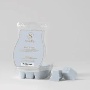 Now & Zen Scentsy Bar