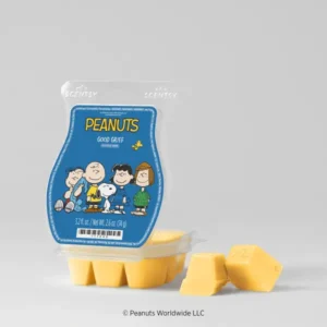 Peanutsโข: Good Grief โ Scentsy Bar