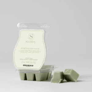 Pearlescent Coast Scentsy Bar