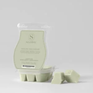 Serene Succulent Scentsy Bar