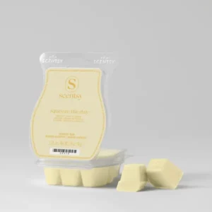 Squeeze the Day Scentsy Bar