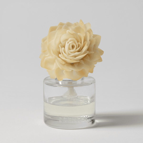 Aloe Water & Cucumber - Dahlia Darling Fragrance Flower