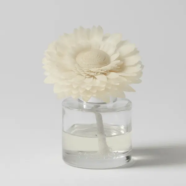 Amazon Rain - Dainty Daisy Fragrance Flower
