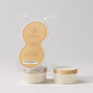 New Pumpkin Honey Spice Scentsy Pod Twin Pack