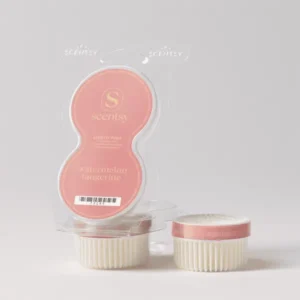 Watermelon Tangerine Scentsy Pod Twin Pack