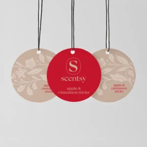 New Apple & Cinnamon Sticks Scent Circle 3-Pack