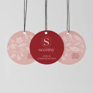 New Cider & Crimson Berries Scent Circle 3-Pack