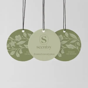 New Frosted Eucalyptus Scent Circle 3-Pack