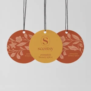 New Pumpkin Honey Spice Scent Circle 3-Pack