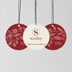 Salt Water & Saffron Scent Circle 3-Pack