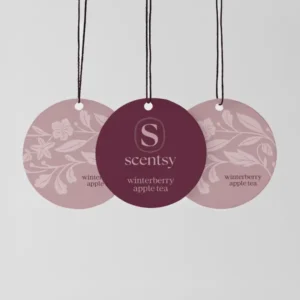 Winterberry Apple Tea Scent Circle 3-Pack