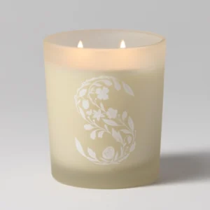 Black Raspberry Vanilla Scented Candle